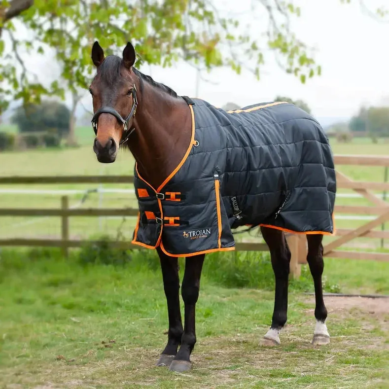 Trojan 100g Standard Neck Stable Rug