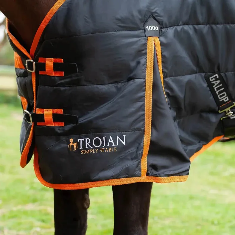Trojan 100g Standard Neck Stable Rug